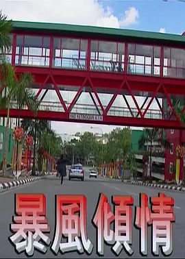 国内高清久久久久久久久