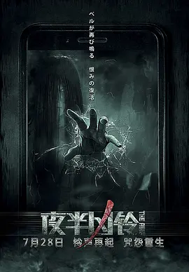 欧美日皮片