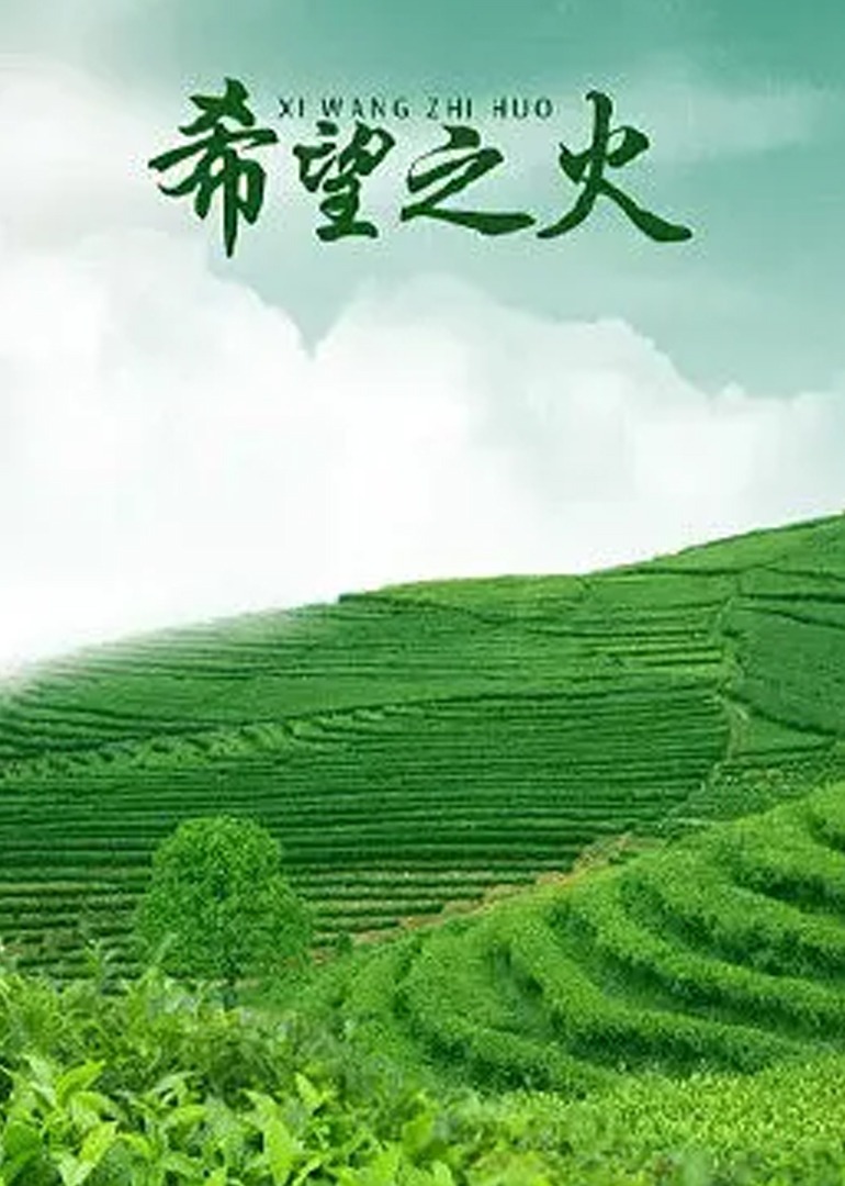 中文字幕一区二区免费播放