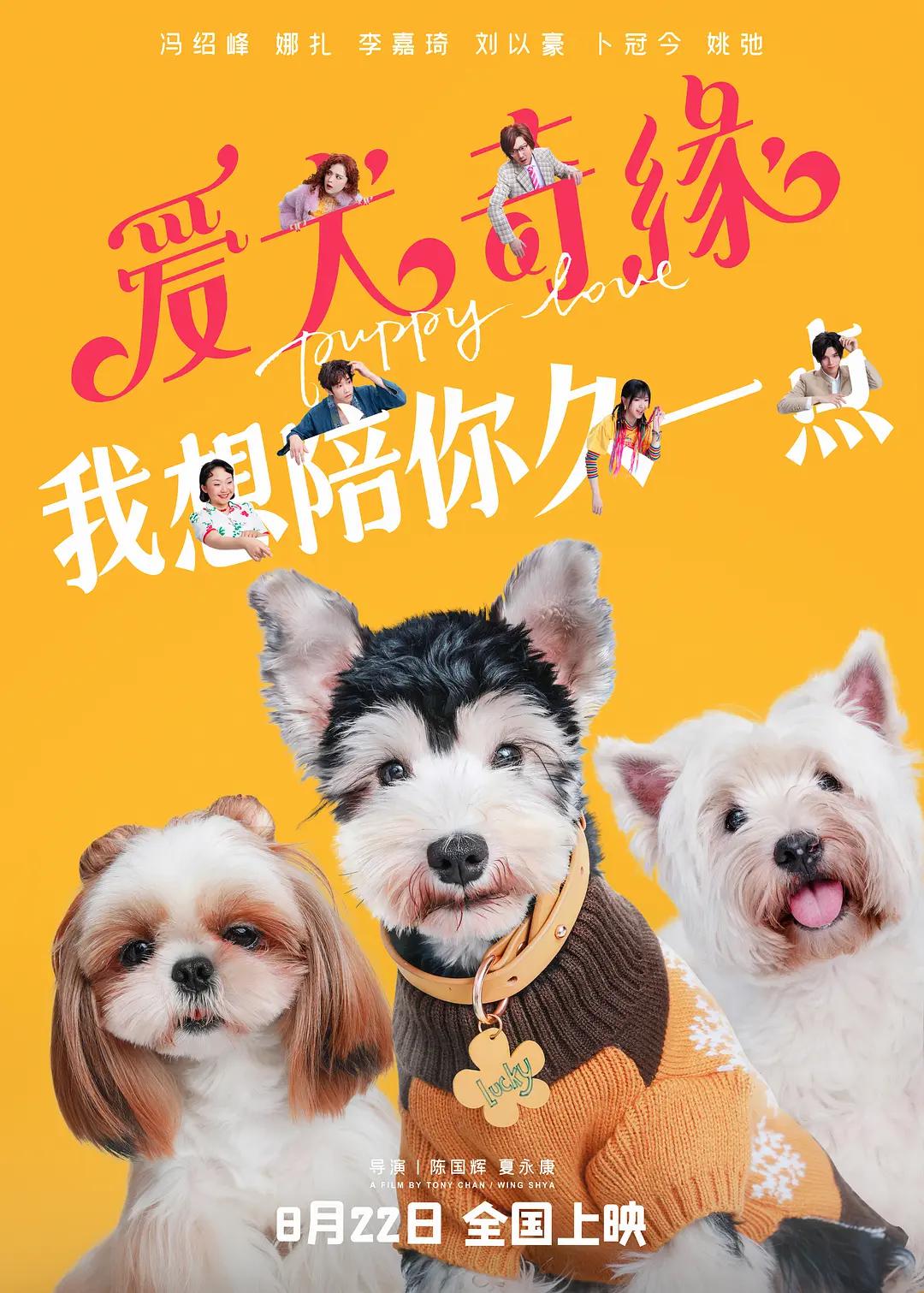 日本高清永久网站视频在线