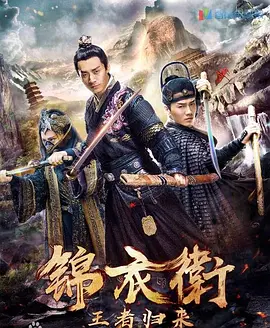 国产精品久久久久久网站