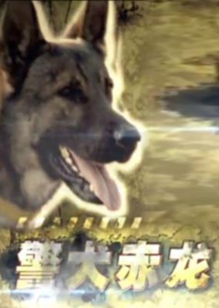 国产av无码一区