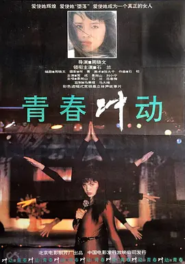 久久无码专区国产精品s