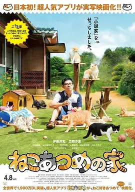 国产日韩欧美在线观看