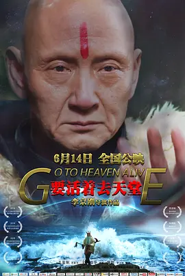 成品网源码78w78的特点