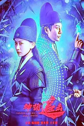 亚洲精品国产综合野狼