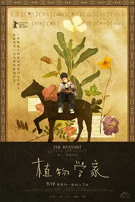 精品亚洲av无码
