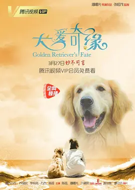 亚洲午夜电影av - 完整版电影在线观看